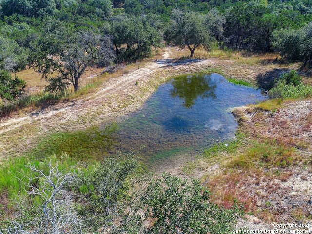 Image 47 of 50 For 27728 Ramblewood Street