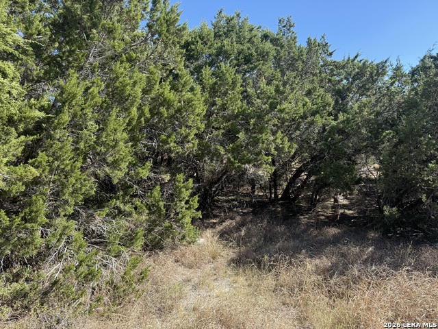 Image 5 of 5 For 1503 Lake  