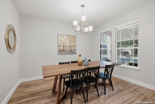 Image 11 of 27 For 3009 Muntjac