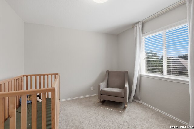 Image 14 of 27 For 3009 Muntjac