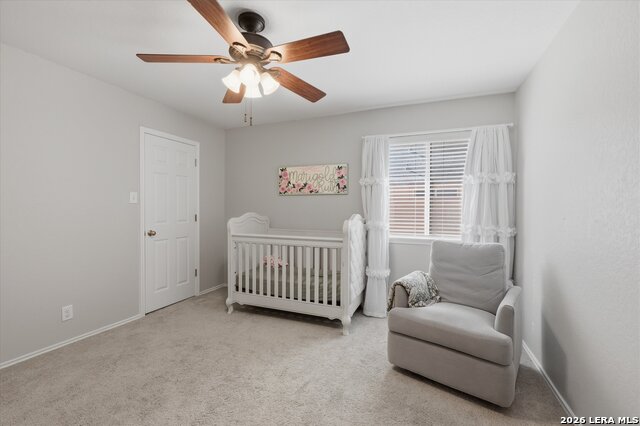 Image 15 of 27 For 3009 Muntjac