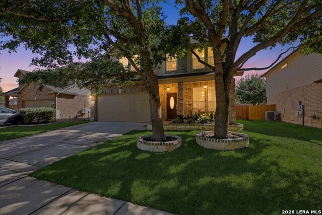 Image 27 of 27 For 3009 Muntjac