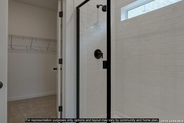 Image 13 of 13 For 151 Desert Cactus