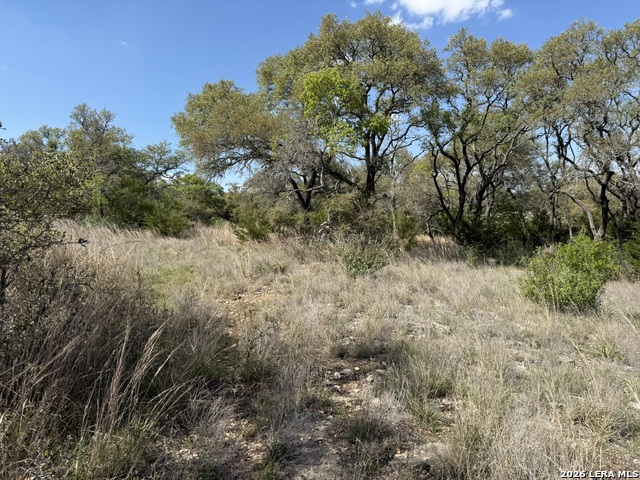 Image 3 of 8 For L28 Lipan Apache Run