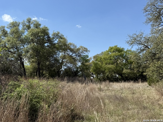 Image 8 of 8 For L28 Lipan Apache Run