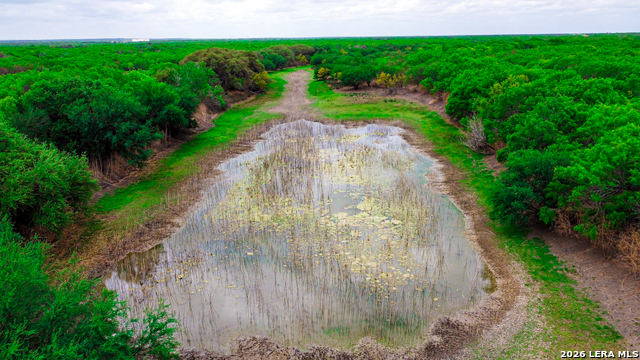 Details for 000 Koon Hill Rd., Fowlerton, TX 78021