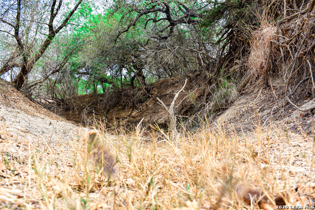 Image 10 of 65 For 000 Koon Hill Rd.