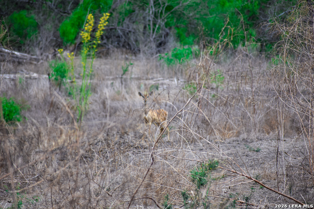 Image 12 of 65 For 000 Koon Hill Rd.