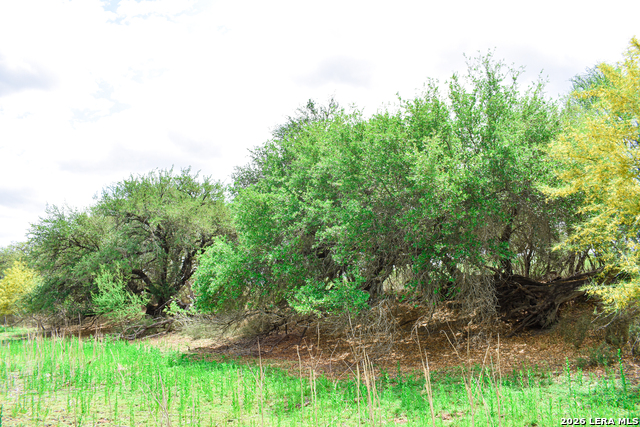 Image 13 of 65 For 000 Koon Hill Rd.