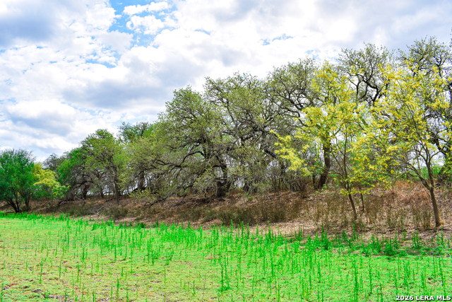 Image 14 of 65 For 000 Koon Hill Rd.