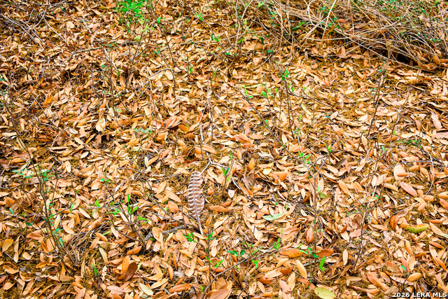 Image 15 of 65 For 000 Koon Hill Rd.