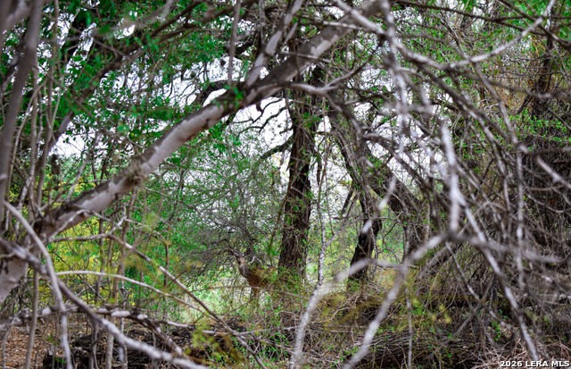 Image 21 of 65 For 000 Koon Hill Rd.