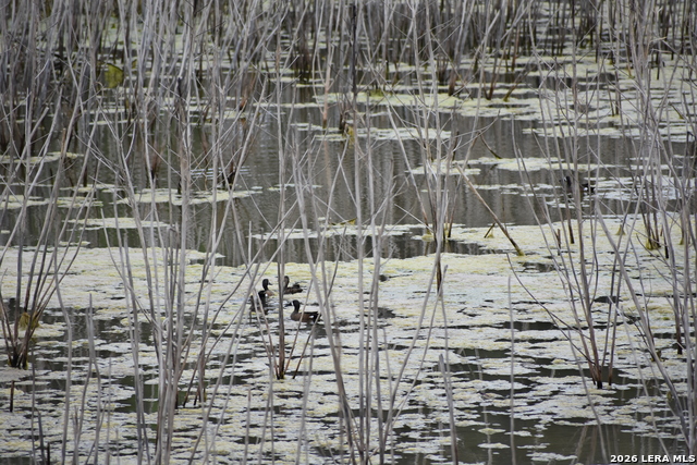 Image 22 of 65 For 000 Koon Hill Rd.