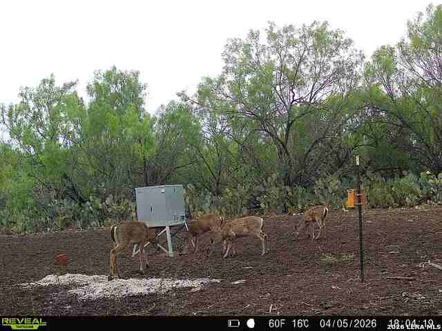 Image 23 of 65 For 000 Koon Hill Rd.