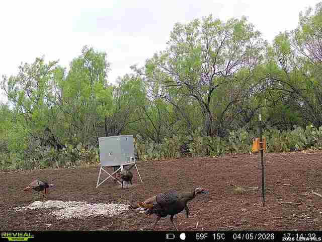 Image 24 of 65 For 000 Koon Hill Rd.