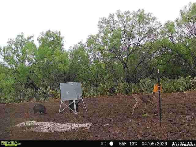 Image 25 of 65 For 000 Koon Hill Rd.