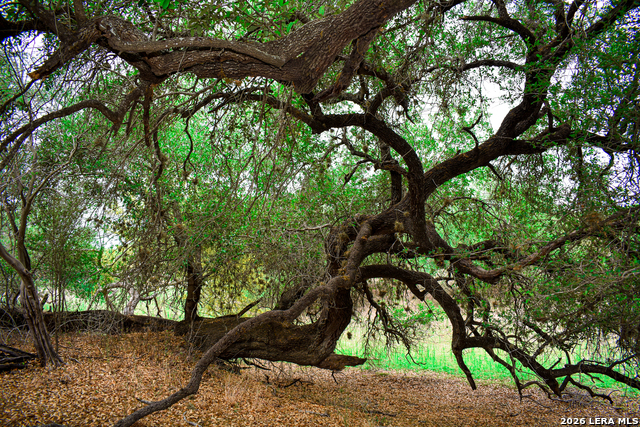 Image 26 of 65 For 000 Koon Hill Rd.