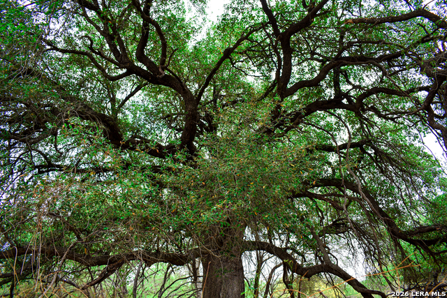 Image 27 of 65 For 000 Koon Hill Rd.