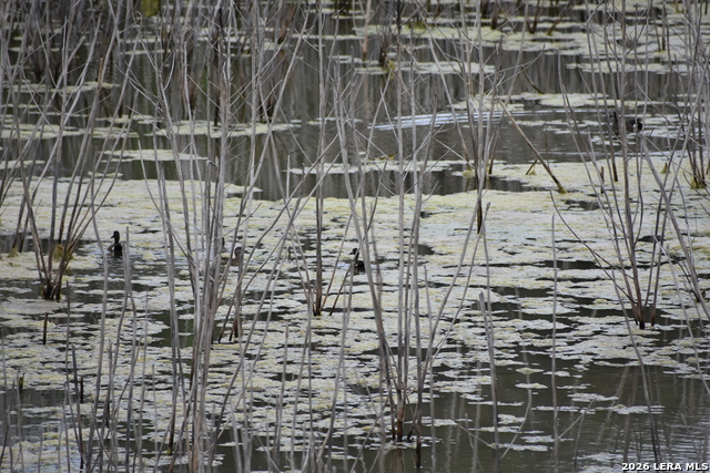 Image 3 of 65 For 000 Koon Hill Rd.