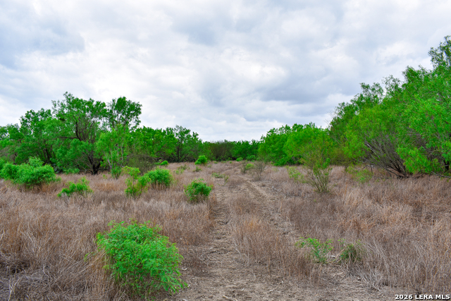 Image 33 of 65 For 000 Koon Hill Rd.