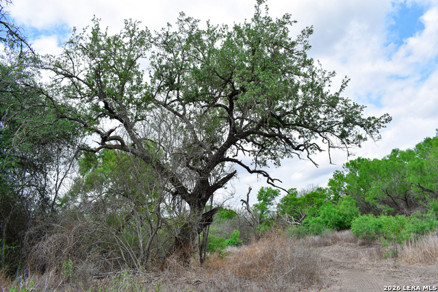 Image 41 of 65 For 000 Koon Hill Rd.