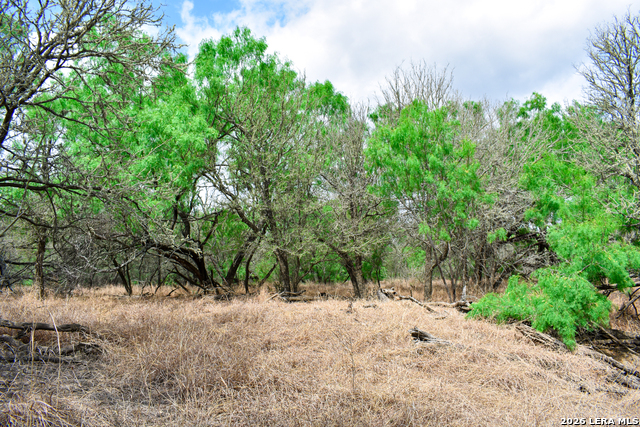 Image 42 of 65 For 000 Koon Hill Rd.