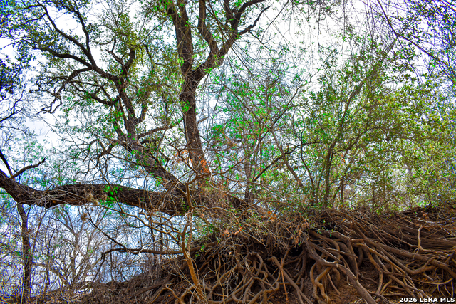 Image 43 of 65 For 000 Koon Hill Rd.