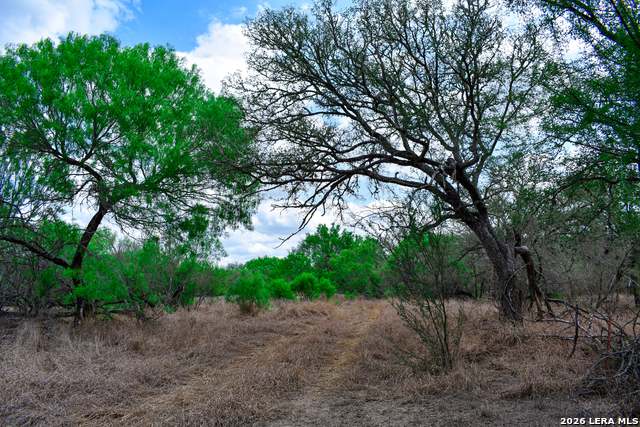 Image 44 of 65 For 000 Koon Hill Rd.