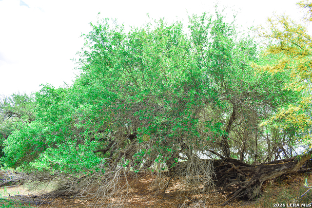 Image 54 of 65 For 000 Koon Hill Rd.