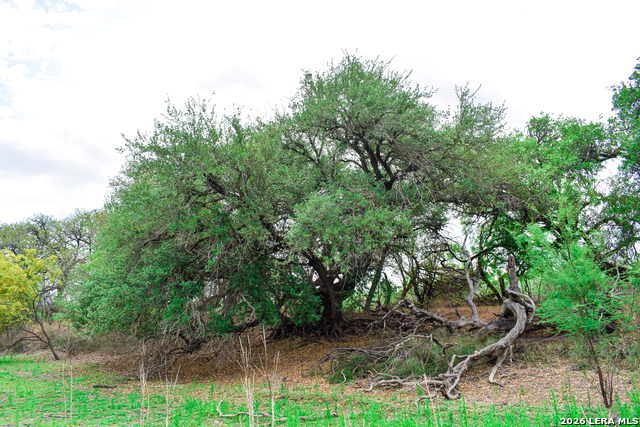 Image 55 of 65 For 000 Koon Hill Rd.