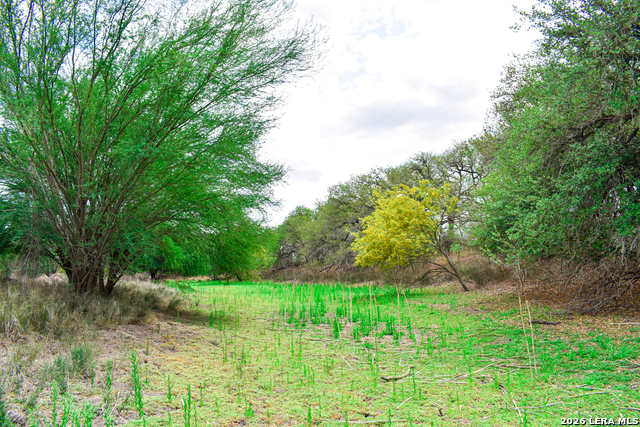 Image 56 of 65 For 000 Koon Hill Rd.