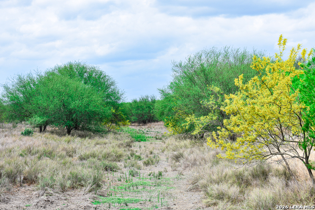 Image 59 of 65 For 000 Koon Hill Rd.