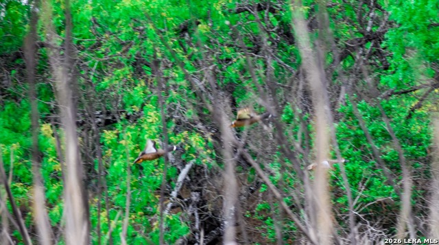 Image 7 of 65 For 000 Koon Hill Rd.