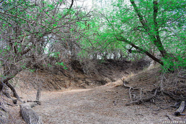 Image 9 of 65 For 000 Koon Hill Rd.