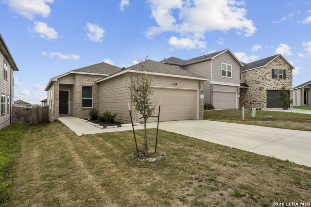 Image 19 of 30 For 11806 Red Pheasant