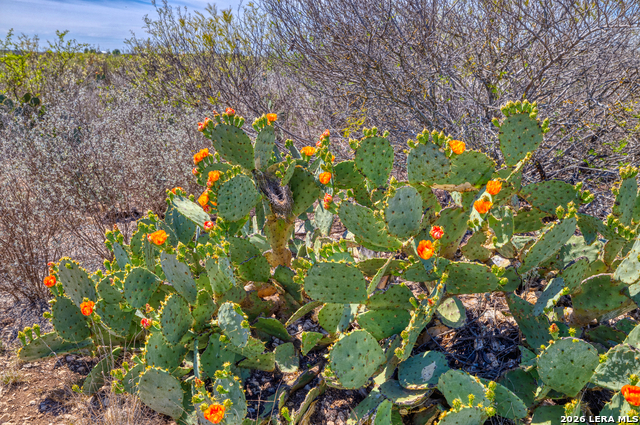 Image 6 of 47 For 2292 County Road 400