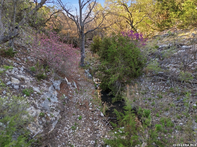 Image 71 of 79 For 170 Bootlegger