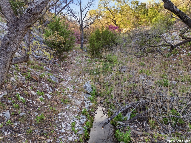 Image 72 of 79 For 170 Bootlegger