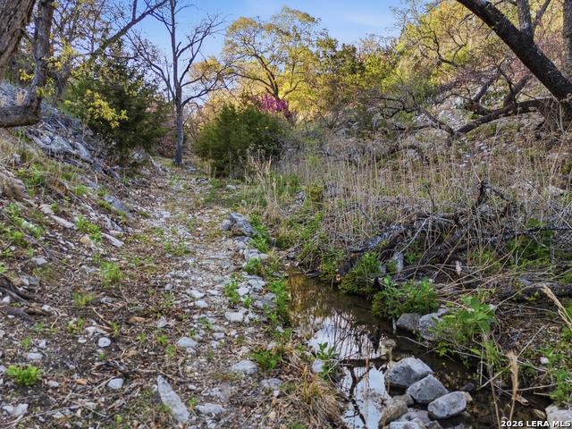 Image 73 of 79 For 170 Bootlegger