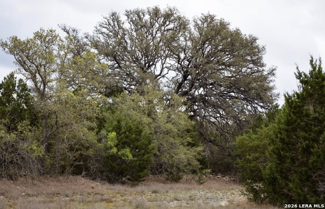 Image 2 of 12 For 1040 Monteola