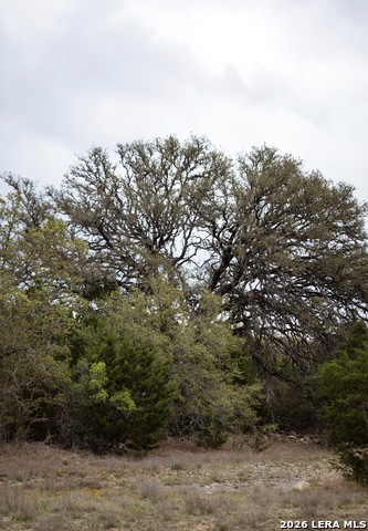 Image 3 of 12 For 1040 Monteola