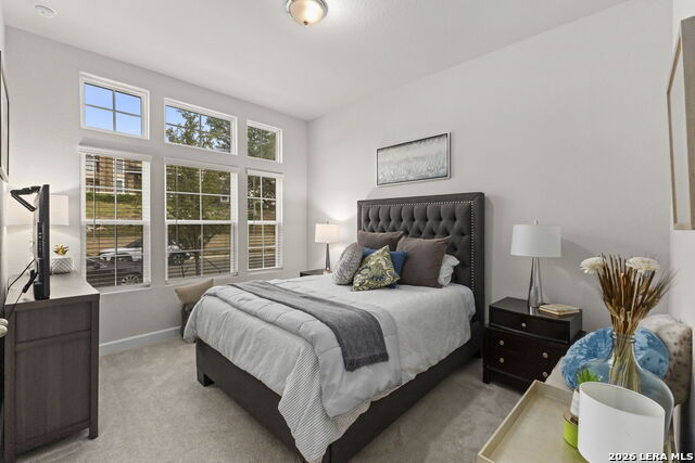 Image 17 of 28 For 16231 Bronco Vw