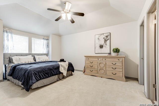 Image 28 of 42 For 1739 La Mancia