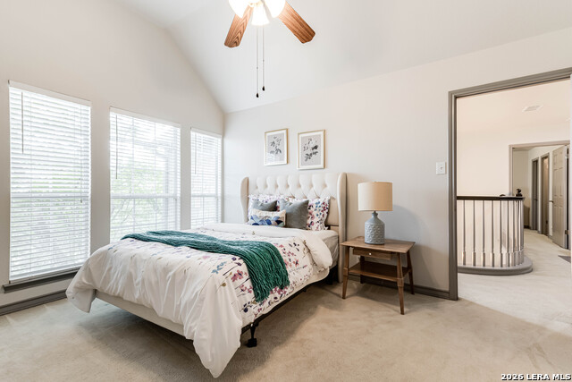 Image 31 of 42 For 1739 La Mancia