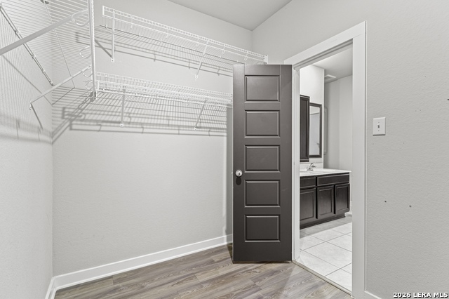 Image 11 of 23 For 3209 Hyacinth