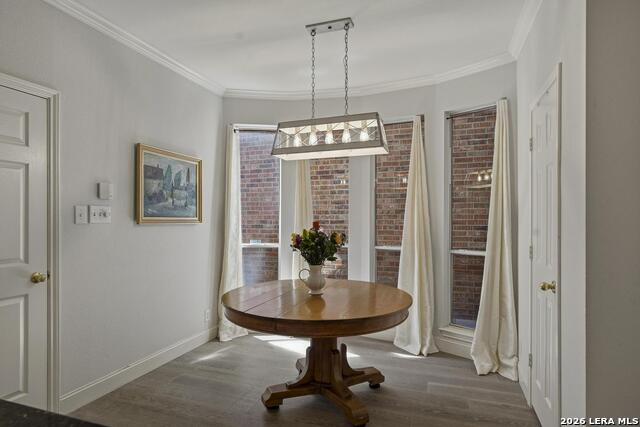 Image 14 of 32 For 145 Elizabeth