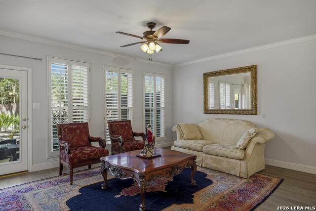 Image 7 of 32 For 145 Elizabeth