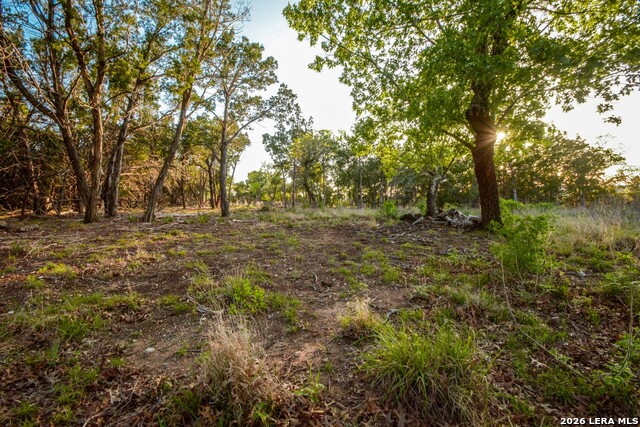 Image 2 of 10 For 827 Thanksgiving