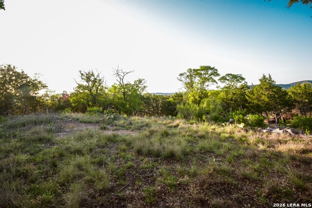 Image 3 of 10 For 827 Thanksgiving