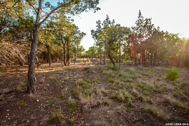 Image 4 of 10 For 827 Thanksgiving